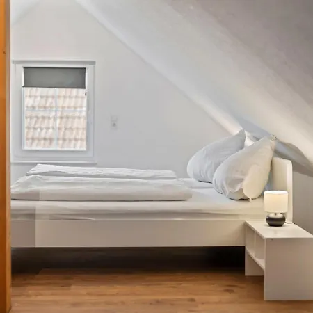 Nina - 9 By Interhome Lejlighed Endingen am Kaiserstuhl